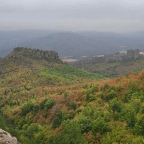 Западна Стара планина